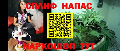 крисы Бийск