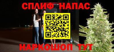 крисы Бийск