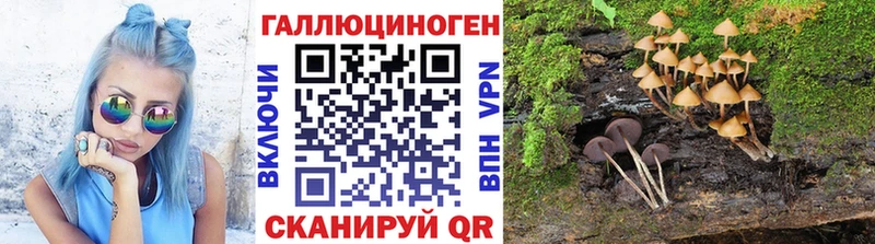 Псилоцибиновые грибы мухоморы  Владивосток 