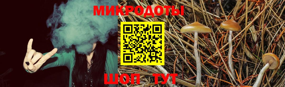 Галлюциногенные грибы Psilocybine cubensis Владивосток