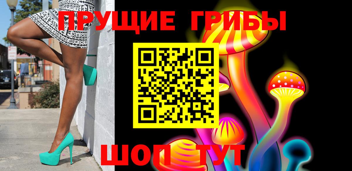 Псилоцибиновые грибы GOLDEN TEACHER  купить наркотик  Владивосток  Вход с VPN  Псилоцибиновые грибы ЛСД 